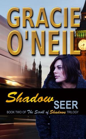 Cover of the book Shadow Seer by P. R. Garcia