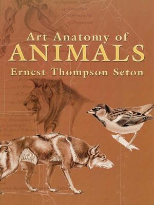 Cover of the book Art Anatomy of Animals by Arthur Thomson