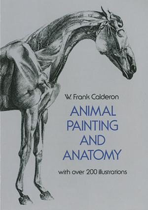 Cover of the book Animal Painting and Anatomy by Antonio Frasconi