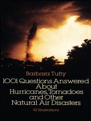 Cover of the book 1001 Questions Answered About by N. G. de Bruijn