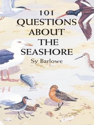 Cover of the book 101 Questions About the Seashore by W. P. Stephens
