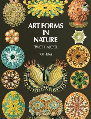 Book cover of Art Forms in Nature