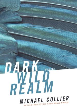 Cover of the book Dark Wild Realm by Sean Williams