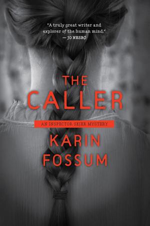Cover of the book The Caller by Rudolph Delson