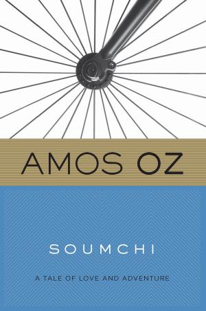 Cover of the book Soumchi by Ariel Burger