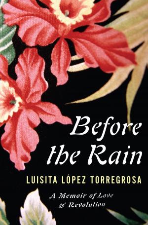 Cover of the book Before the Rain by 