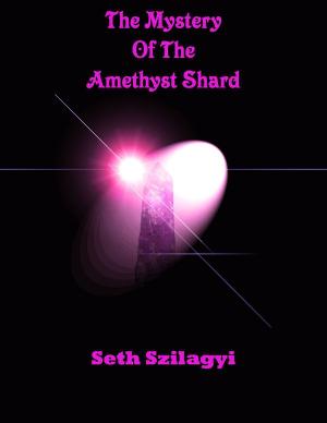 Cover of the book The Mystery of the Amethyst Shard by Colleen Yuras