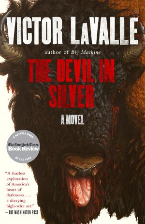 Book cover of The Devil in Silver