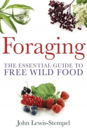 Cover of the book Foraging by Mark Johnson