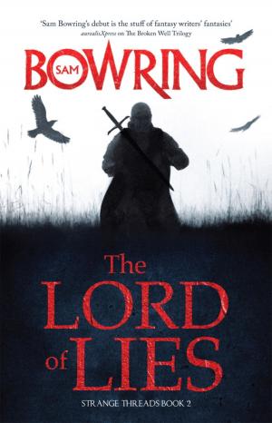 Cover of the book The Lord of Lies by John Larkin