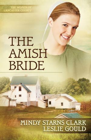 Book cover of The Amish Bride