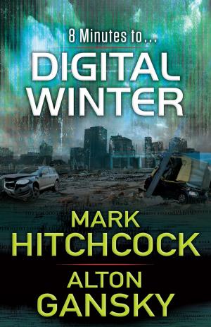 Cover of the book Digital Winter by Deborah Smith Pegues