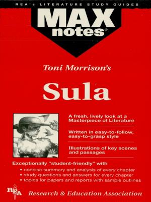 Cover of the book Sula (MAXNotes Literature Guides) by Jason Welker