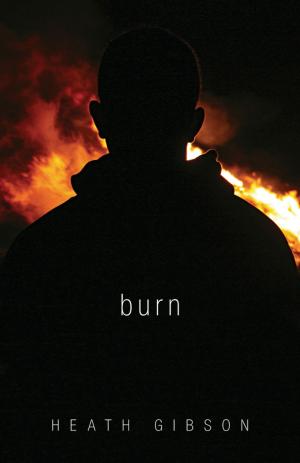 Cover of the book Burn by Kelsey Abrams