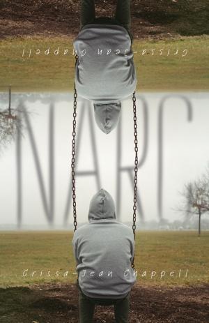 Cover of the book Narc by Christine Hurley Deriso