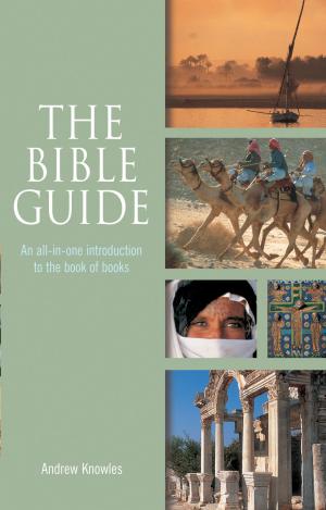 Cover of the book The Bible Guide by Anny Donewald