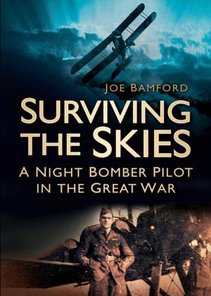 Cover of the book Surviving the Skies by Dr. Chris Brown
