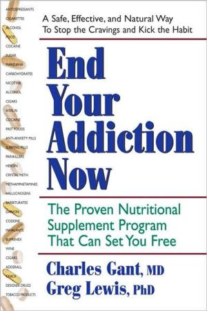 Cover of the book End Your Addiction Now by Jay S. Cohen