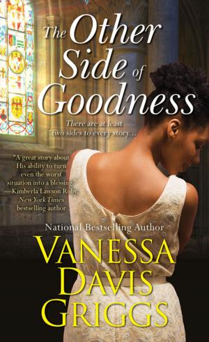 Cover of the book The Other Side of Goodness by Sasha White