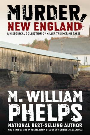 Cover of the book Murder, New England by Don Fink, Melanie Fink