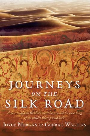 Cover of the book Journeys on the Silk Road by Danielle Gomes, Jay Bonansinga
