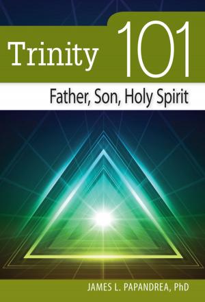 Cover of the book Trinity 101 by Snyder, Bernadette McCarver