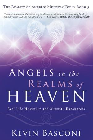 Cover of Angels in the Realms of Heaven: The Reality of Angelic Ministry Today