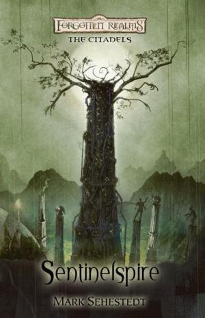 Cover of the book Sentinelspire by C.L. Roman