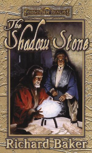 Book cover of The Shadow Stone