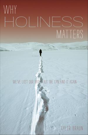 Book cover of Why Holiness Matters