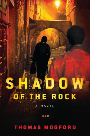 Book cover of Shadow of the Rock