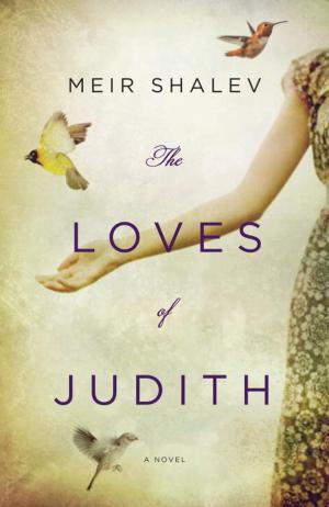 bigCover of the book The Loves of Judith by 