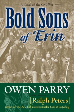 Cover of the book Bold Sons of Erin by Bruno Friesen