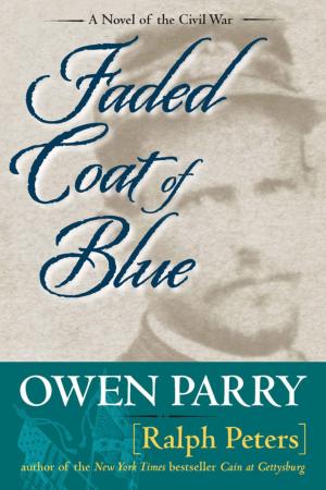 Cover of the book Faded Coat of Blue by Anita J. Tosten, Missy Burns