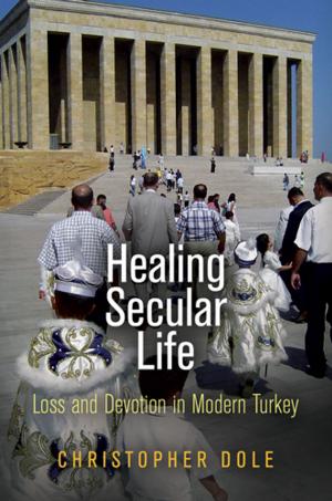 Cover of the book Healing Secular Life by Richard J. Bernstein