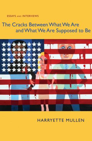 Cover of the book The Cracks Between What We Are and What We Are Supposed to Be by Peter Kurtz, Peter Kurtz