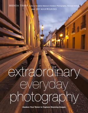 Cover of the book Extraordinary Everyday Photography by David Ford