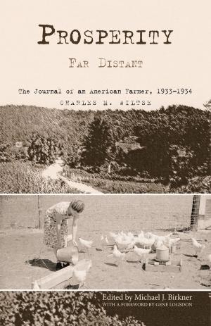 Cover of the book Prosperity Far Distant by 