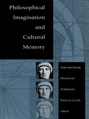 Cover of the book Philosophical Imagination and Cultural Memory by Erin Graff Zivin