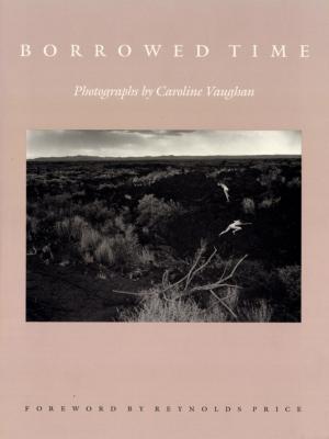 Cover of the book Borrowed Time by Celine Parrenas Shimizu
