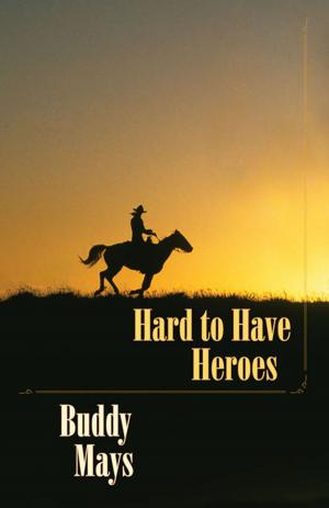 Cover of the book Hard to Have Heroes by William deBuys