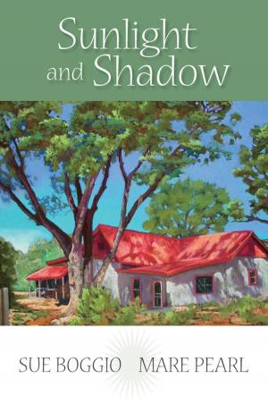 Book cover of Sunlight and Shadow