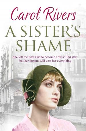 bigCover of the book A Sister's Shame by 