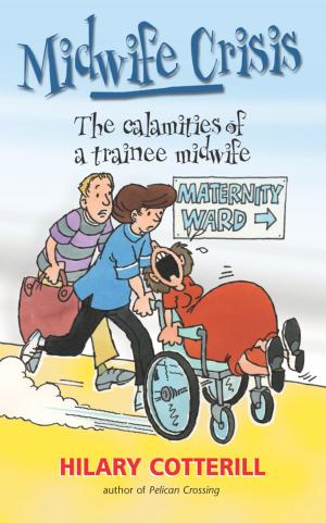 Cover of the book Midwife Crisis by Luke Aylen