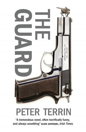 Cover of the book The Guard by Marcus Weeks