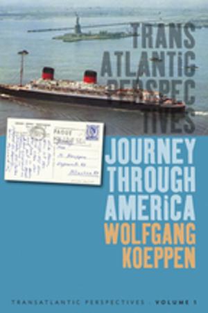 Cover of the book Journey Through America by Manú Dornbierer