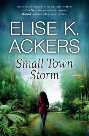 Book cover of Small Town Storm
