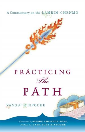 Cover of the book Practicing the Path by Geshe Rabten