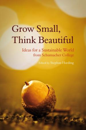 Cover of the book Grow Small, Think Beautiful by Alan Dapré