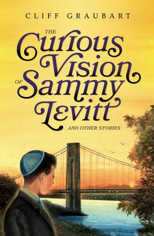 Book cover of The Curious Vision of Sammy Levitt and Other Stories